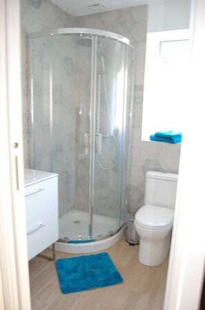 Shower, hair dryer, soap, toilet paper