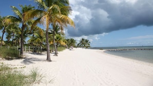 Une plage bordée de palmiers, une étendue de sable et une mer calme sous un ciel partiellement nuageux.