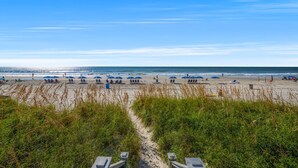 Une plage bordée de rangées de parasols bleus et de chaises de plage, un sentier sablonneux et une végétation verdoyante et luxuriante au premier plan.