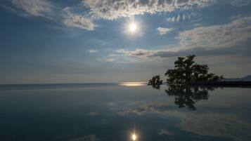 A tranquil body of water reflecting the sky and a tree.