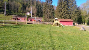 Children's area