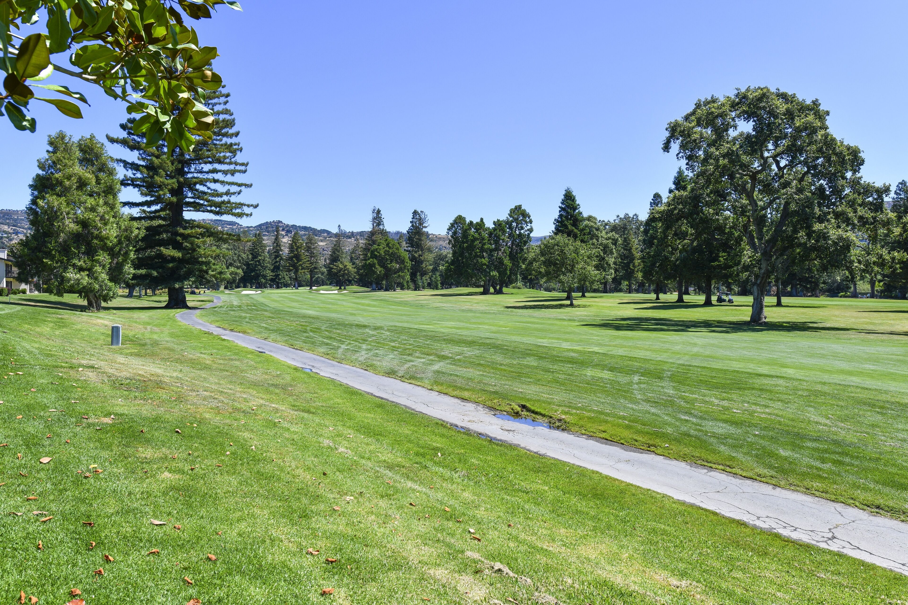 A well-maintained golf course with a clear path, surrounded by trees and a clear sky.