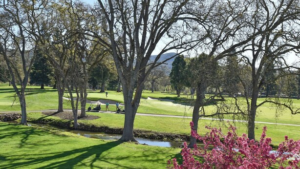 A golf course with trees, a stream, and blooming flowers.