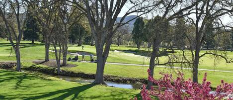 Condo, 1 Bedroom | Golf