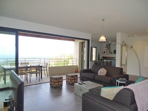 Televisión, reproductor de DVD, mesa de ping pong