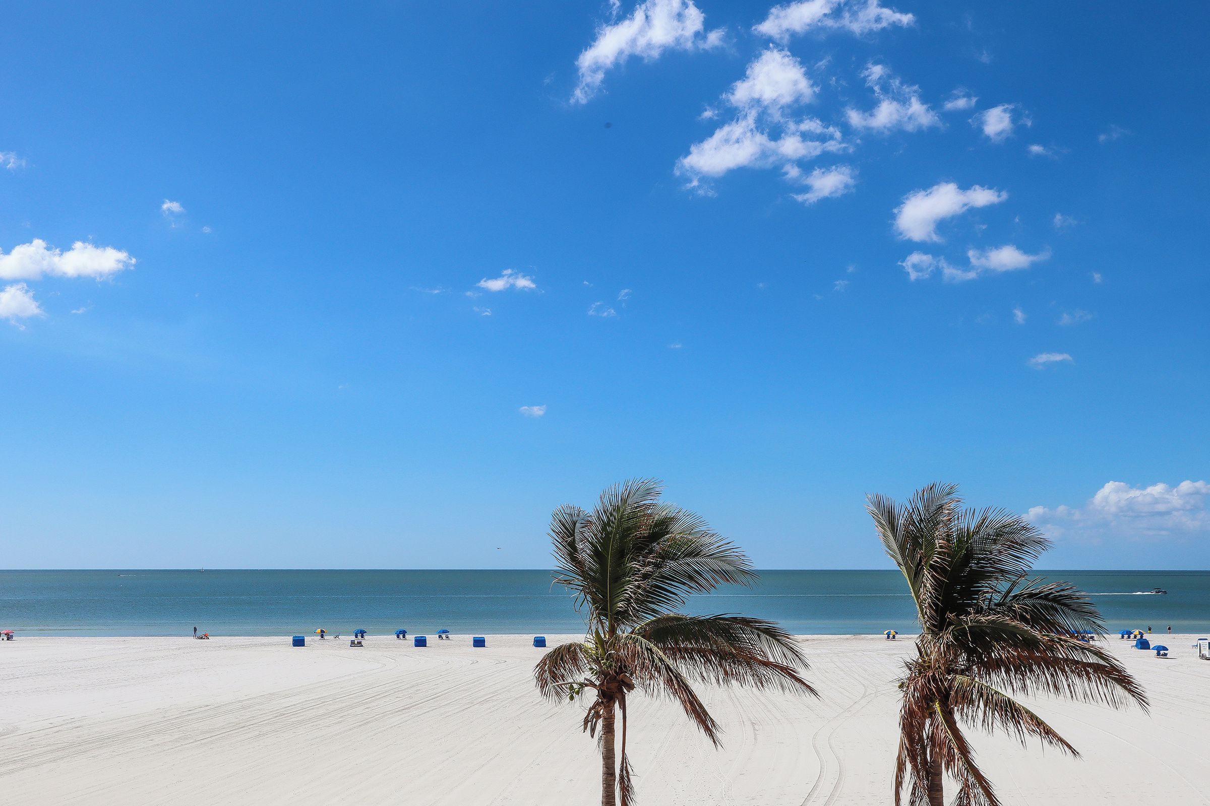 Een strand met twee palmbomen, een heldere lucht en de oceaan op de achtergrond.