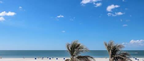 Una playa con dos palmeras, cielo despejado y el océano al fondo.