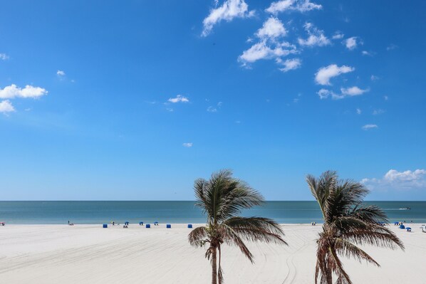 Une plage avec deux palmiers, un ciel dégagé et l’océan en arrière-plan.