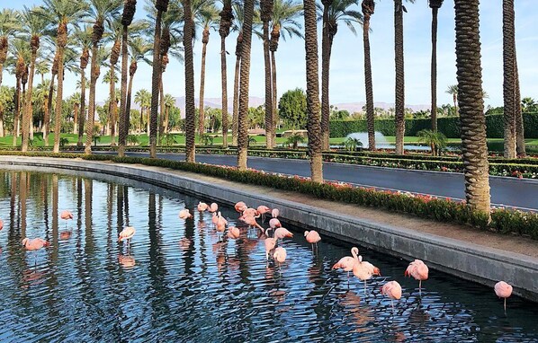 Imagen sin descripción, 1 de 34, botón