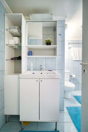 Douche, séchoir à cheveux, serviettes fournies, savon