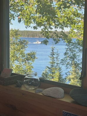 Views from the kitchen windows.
