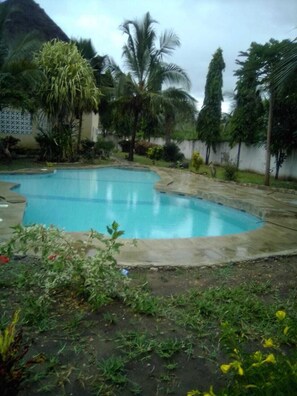 Una piscina con borde curvo, rodeada de follaje y palmeras.