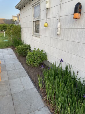 Property grounds - Strathmere charm at the Ruddy Turnstone Beach House! (Strathmere)