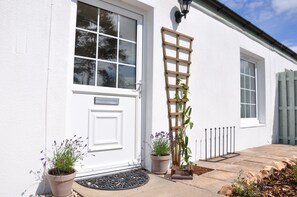 Stylish building with a grid-patterned window, door, and potted plant.