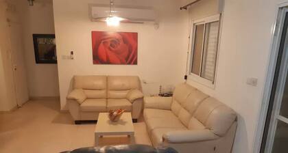Besondere Ereignisse Gäste Apartment