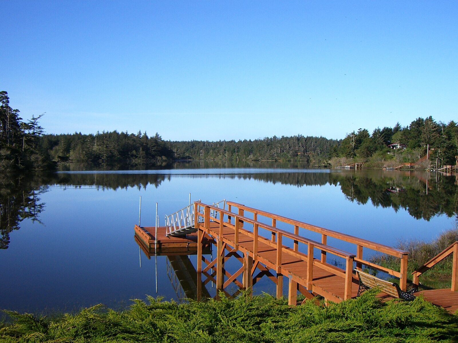 A wooden dock extending into calm waters, surrounded by dense forest and a clear sky.