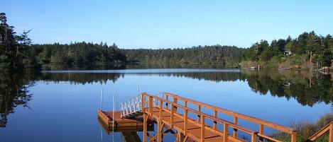 A wooden dock extending into calm waters, surrounded by dense forest and a clear sky.