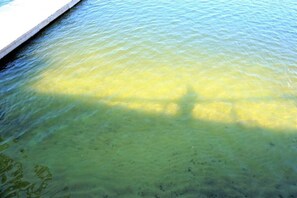 On aperçoit clairement une piscine avec un bord en béton et une ombre bien marquée sur l’eau.