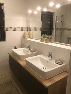 Shower, hair dryer, soap, toilet paper - Recent villa, ideal for 2 families, 3 independent modules, swimming pool, 2.5 ha park  (Bras)