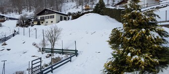 HOUSE WITH TERRACE GARDEN