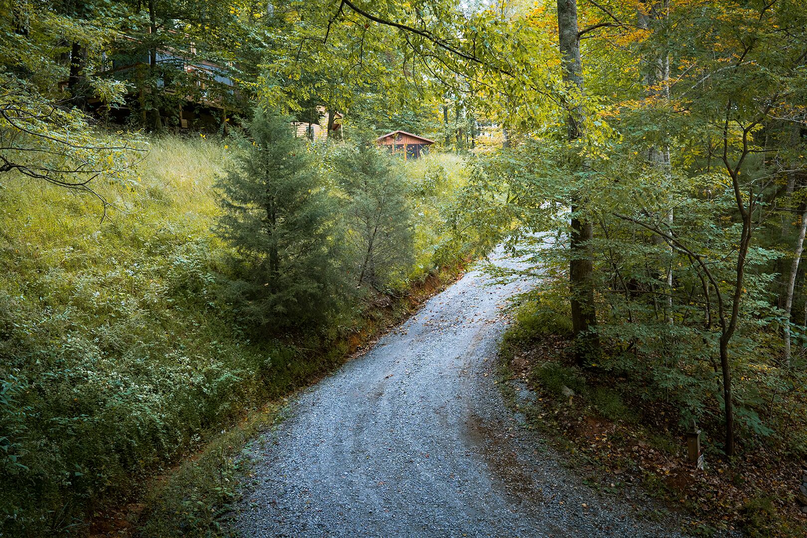 Un sendero de grava atraviesa un bosque con una cabaña pequeña al fondo.