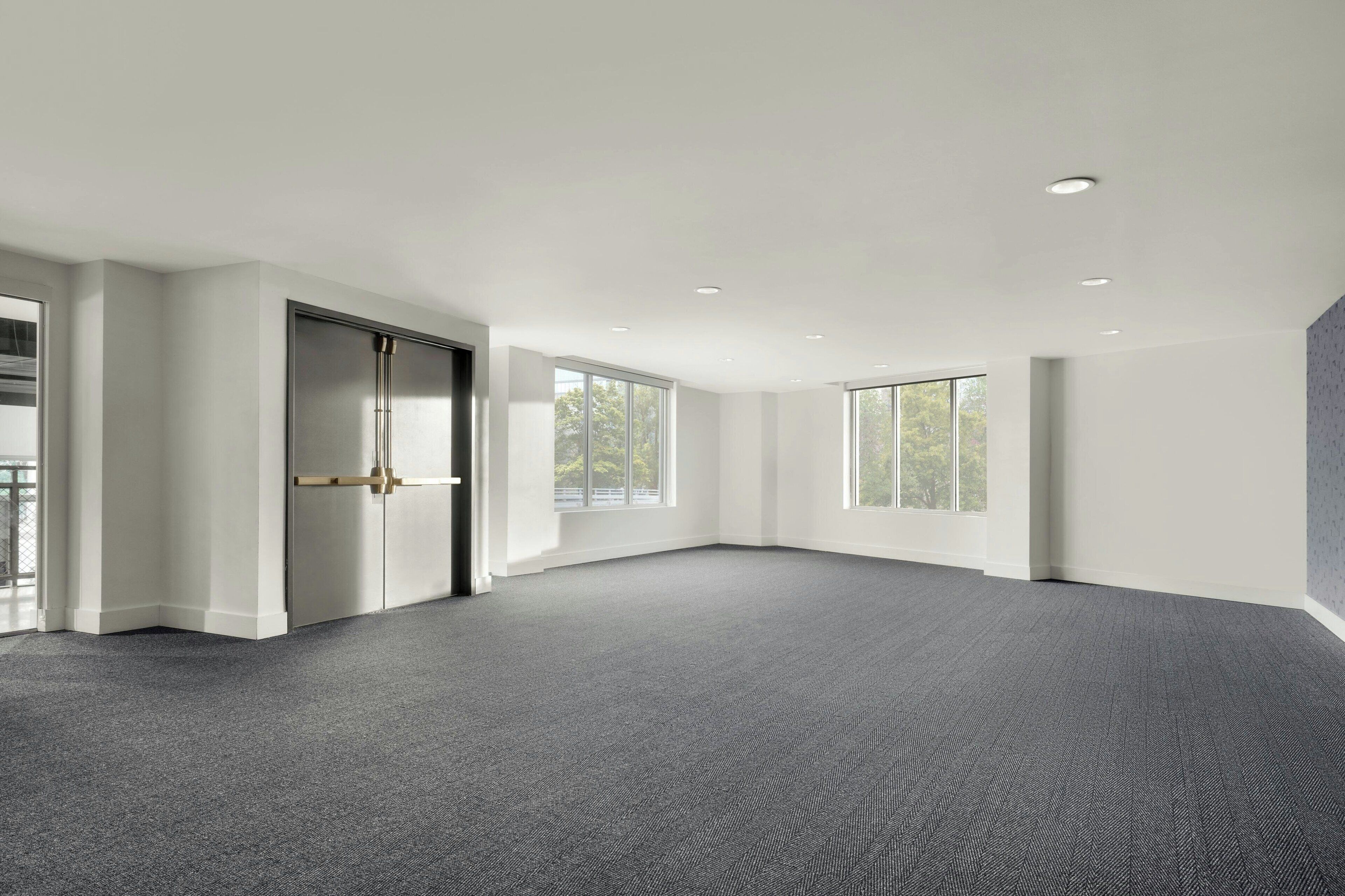 A spacious room with a grey carpet, large windows, and a door with a brass handle.