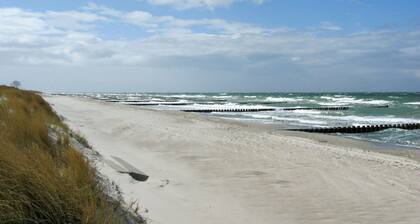 Angenehme Wohnung für 4 Leute mit W-LAN, TV, Balkon und Haustiere erlaubt
