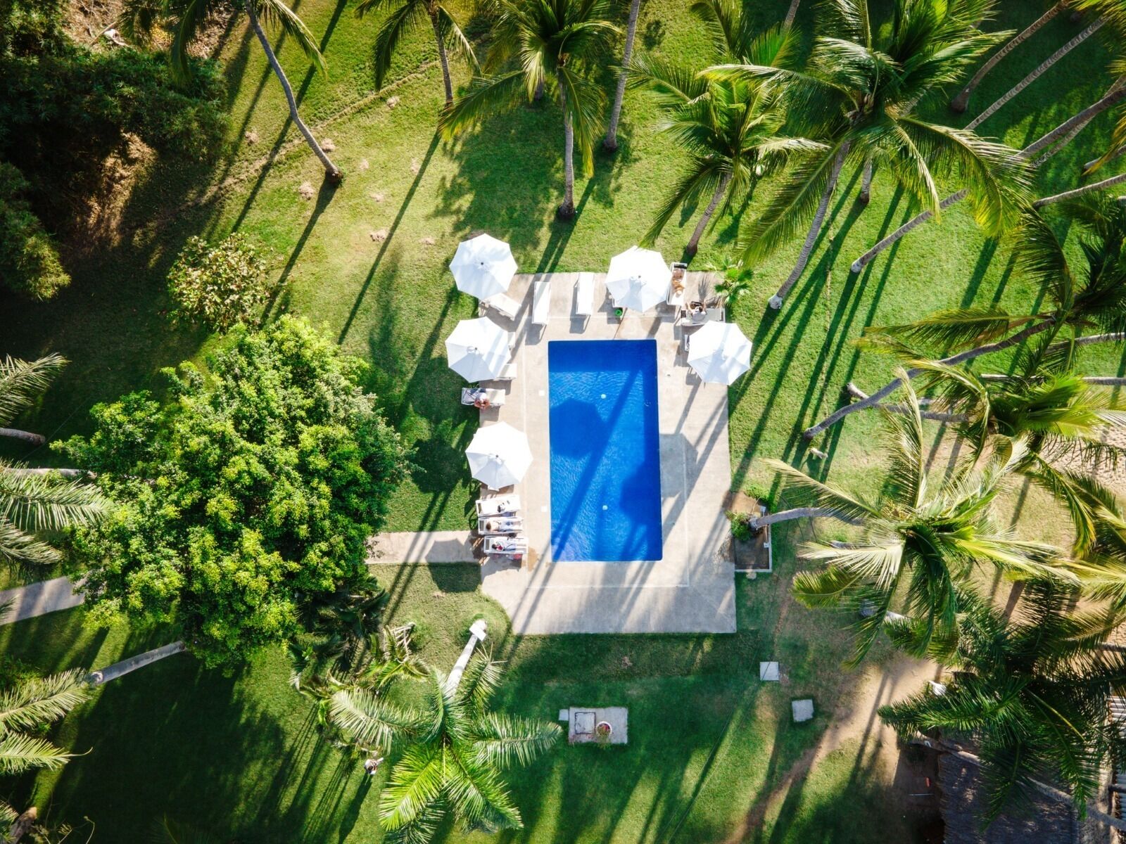 outdoor pool, open 9:00 am to 9:00 pm, pool loungers