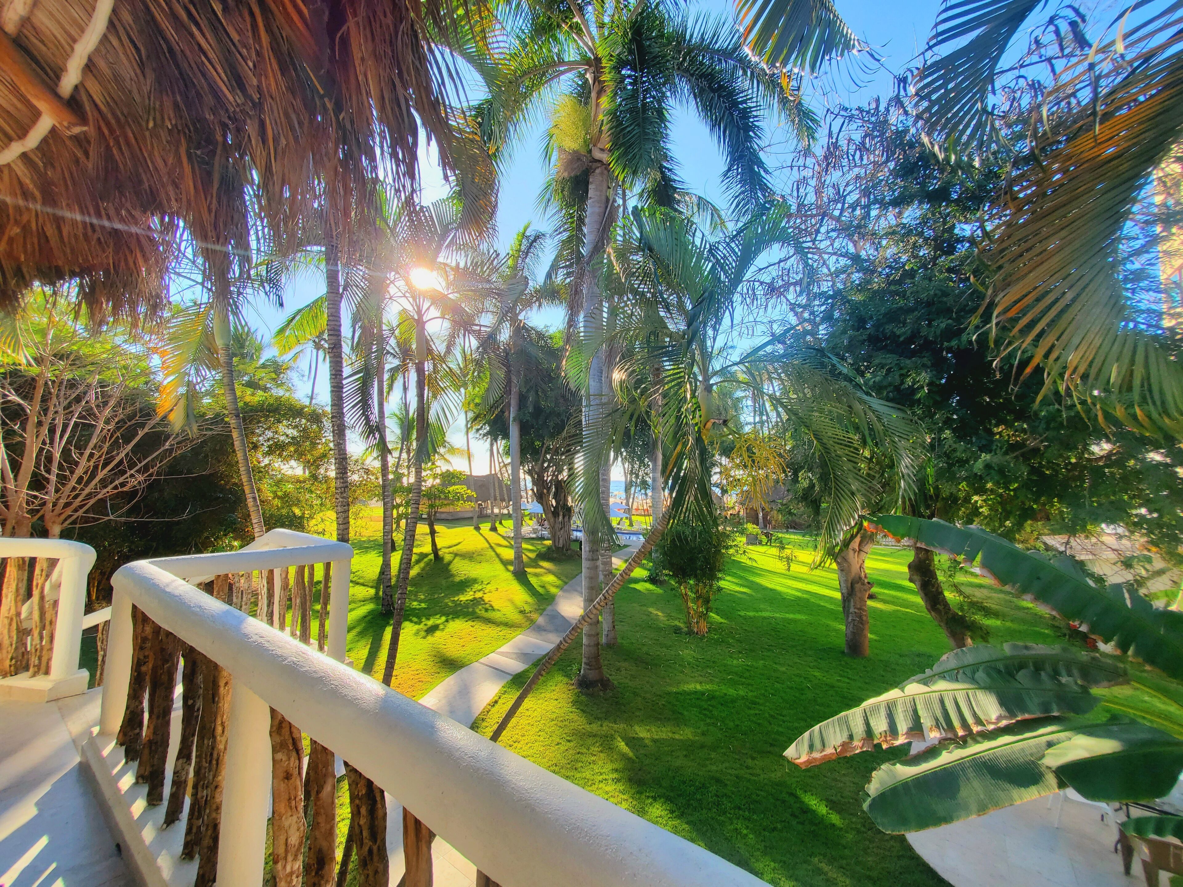 triple room, sea view | terrace/patio