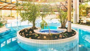 An indoor swimming pool with a circular design, surrounded by rocks and plants. - Cosy apartment in villa for 4 guests with WIFI, TV, terrace and pets allowed (Sassnitz)