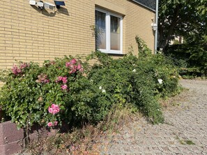 Details aan de buitenkant