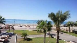 A beachfront view with palm trees, a pool area, and a clear sky.