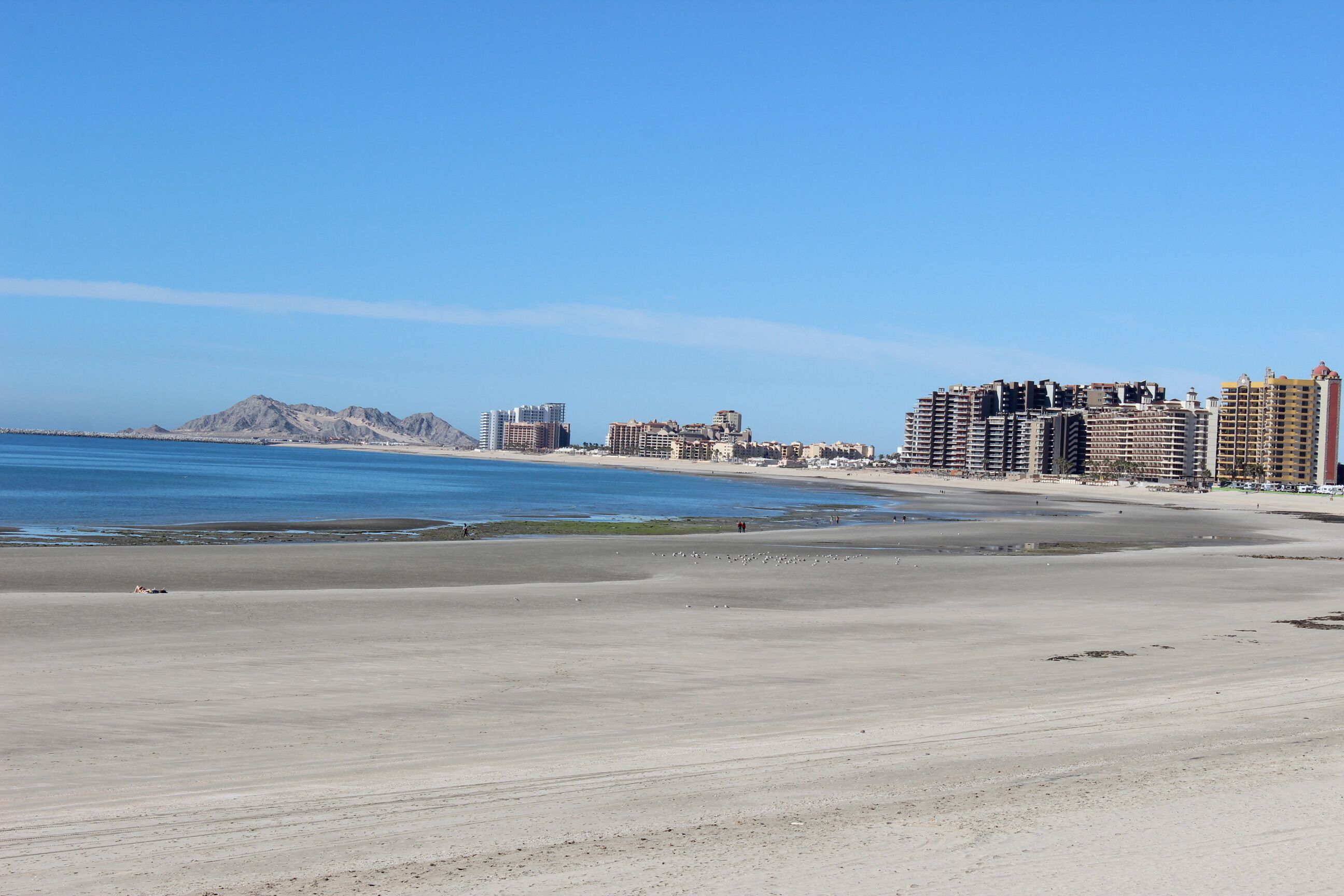 Una playa con un paisaje urbano al fondo.