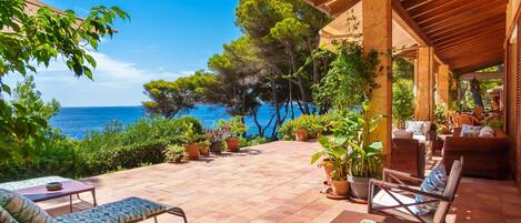 テラス / パティオ