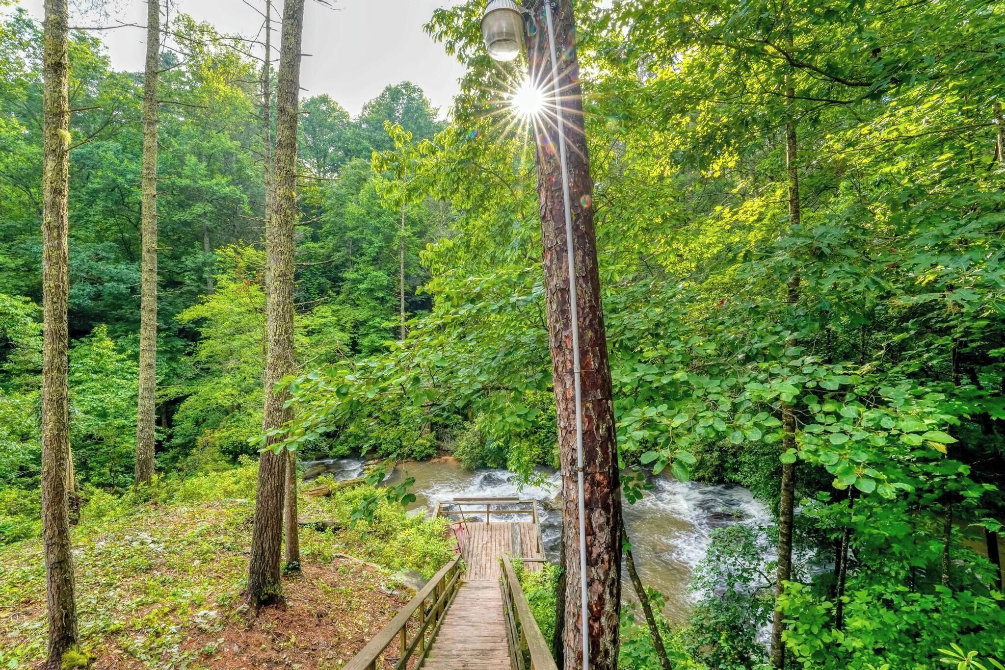 Un pont de bois menant à une cascade au cœur d’une forêt dense.