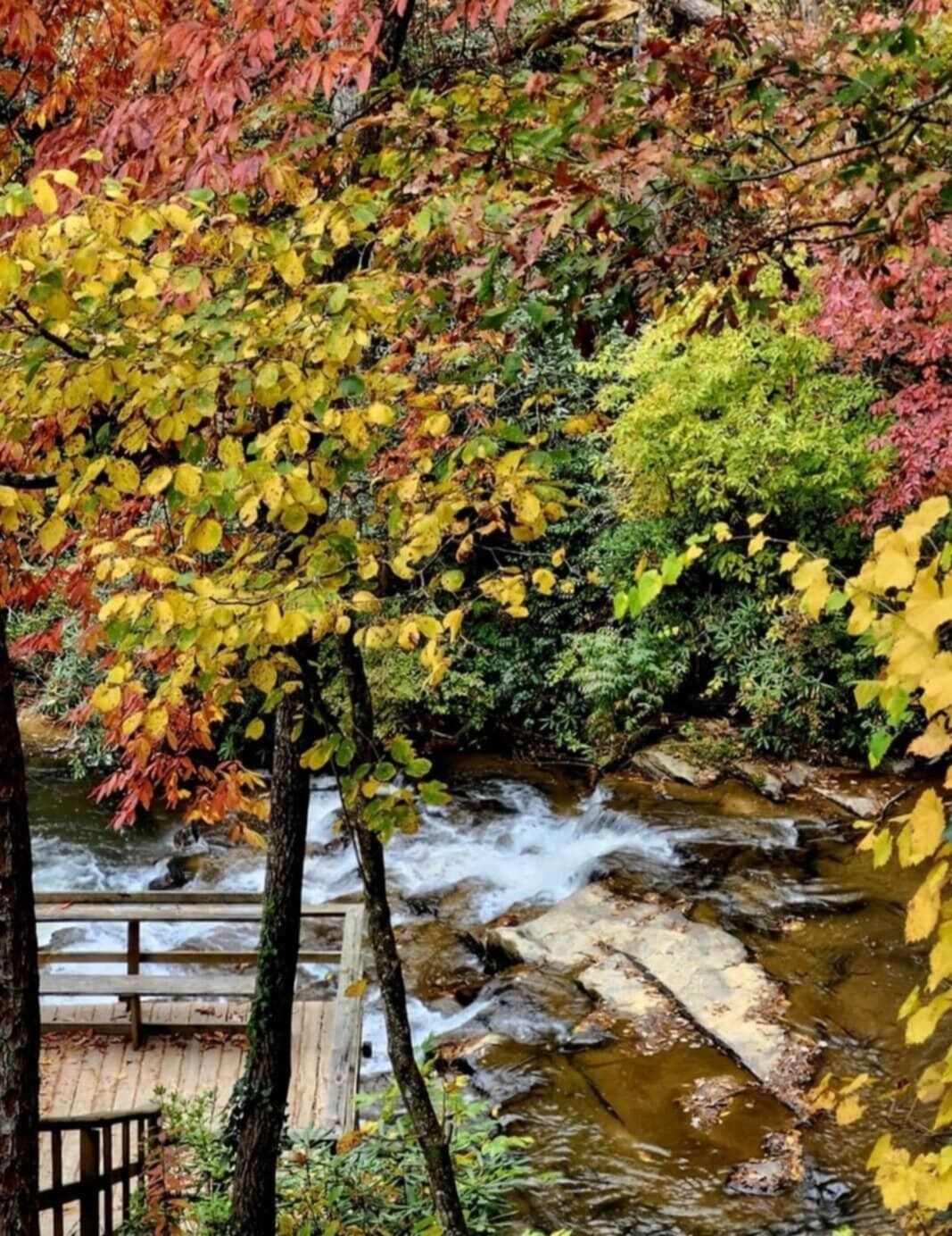 Un muelle de madera con vistas a un arroyo, rodeado de follaje otoñal.