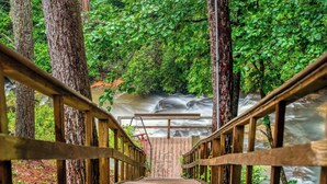 A wooden bridge leading to a waterfall surrounded by dense green foliage. - The Cascades Inn (Tiger)