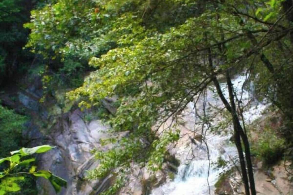 A waterfall cascading over rocky terrain surrounded by lush greenery.