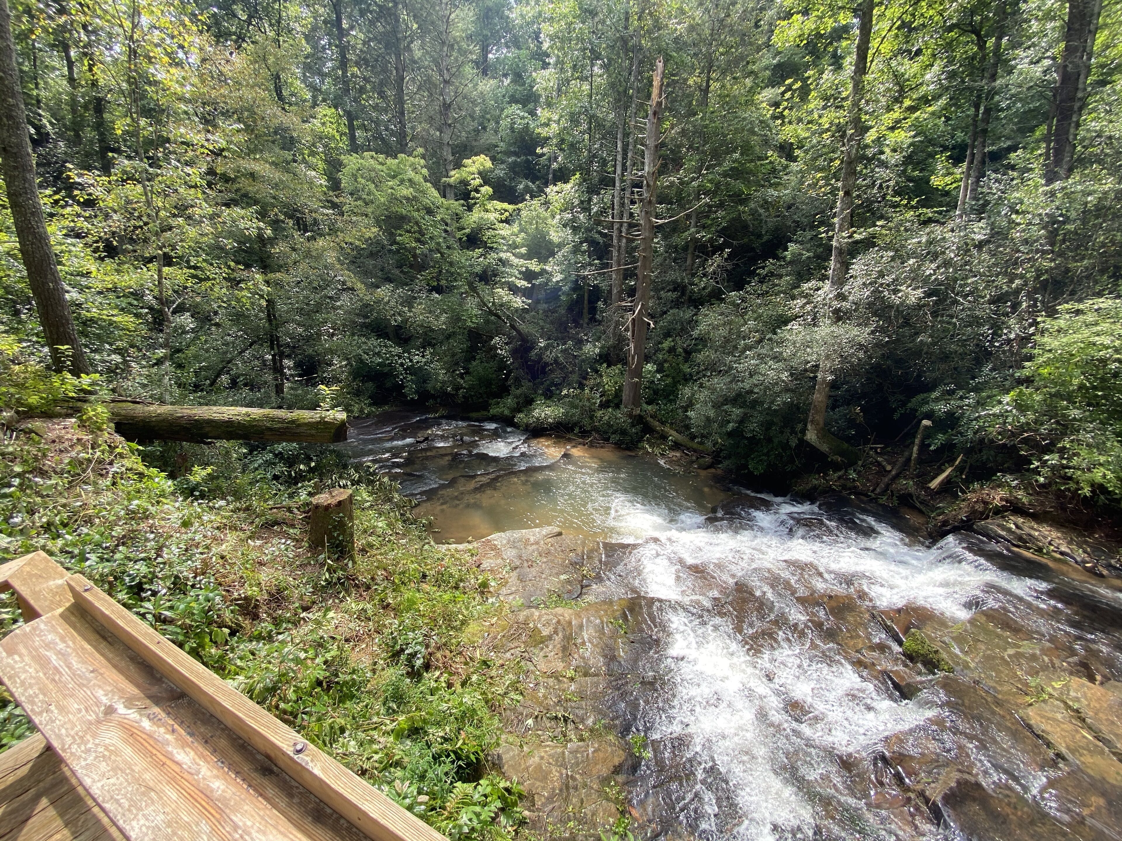 A wooden bench overlooking a flowing stream in a forested area.