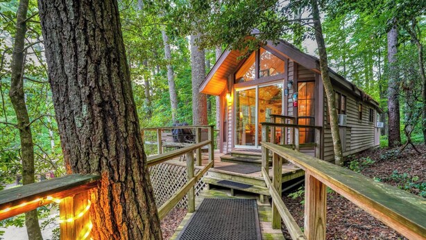 A wooden cabin with a glass front, surrounded by trees, and accessible by a wooden deck. - The Cascades Inn (Tiger)