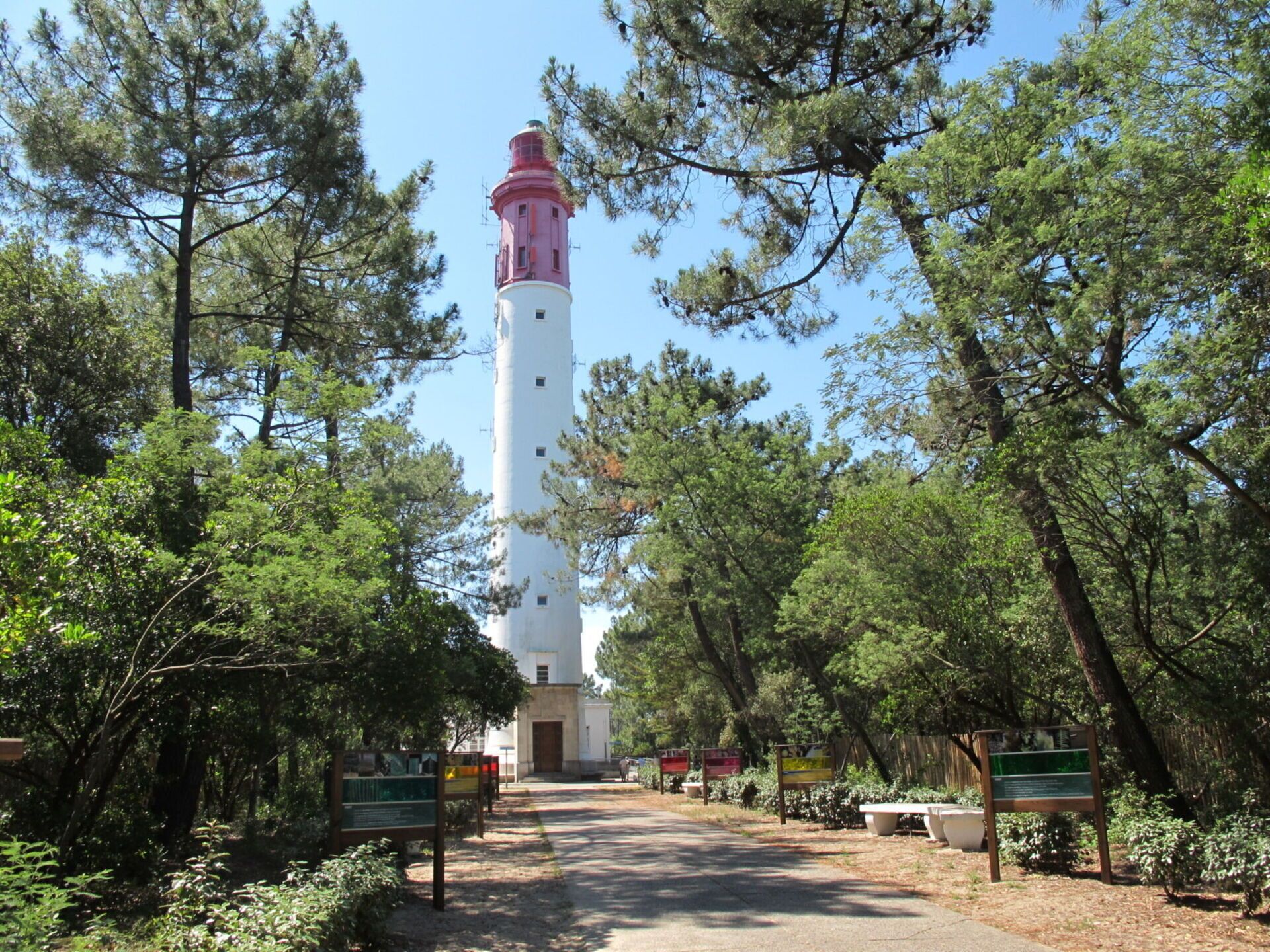 Un faro blanco con la parte superior rosa, rodeado de árboles frondosos y un cielo despejado.