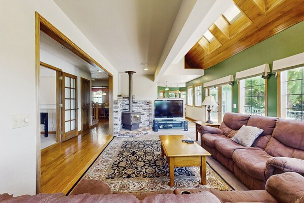 TV, fireplace, books