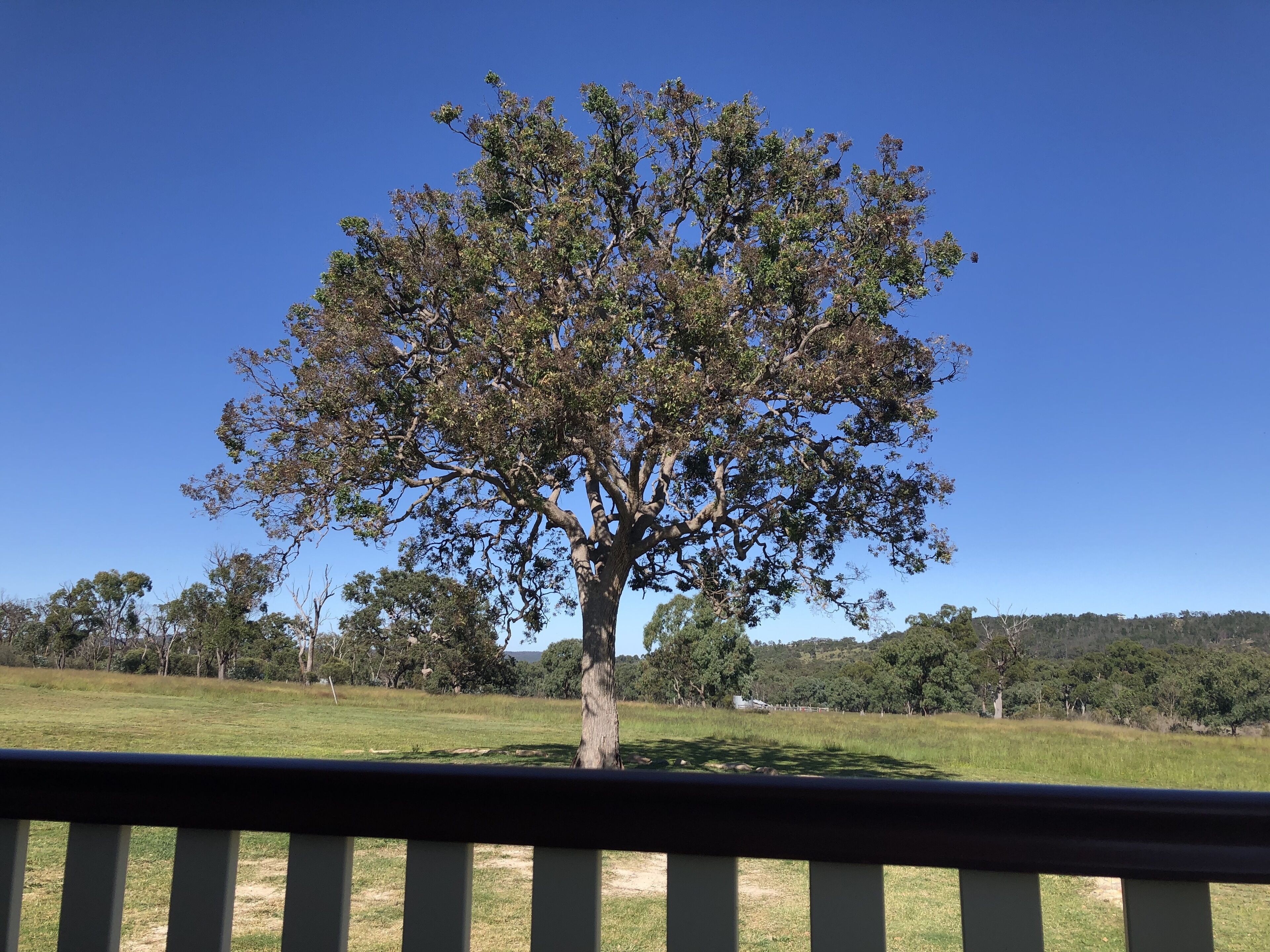 Stunning views from the front verandah