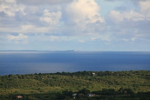 Niet-geclassificeerde afbeelding, 4 van 6, knop