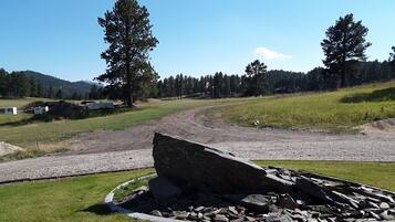 A rural landscape with a gravel path, a large tree, and a pile of rocks in the foreground.