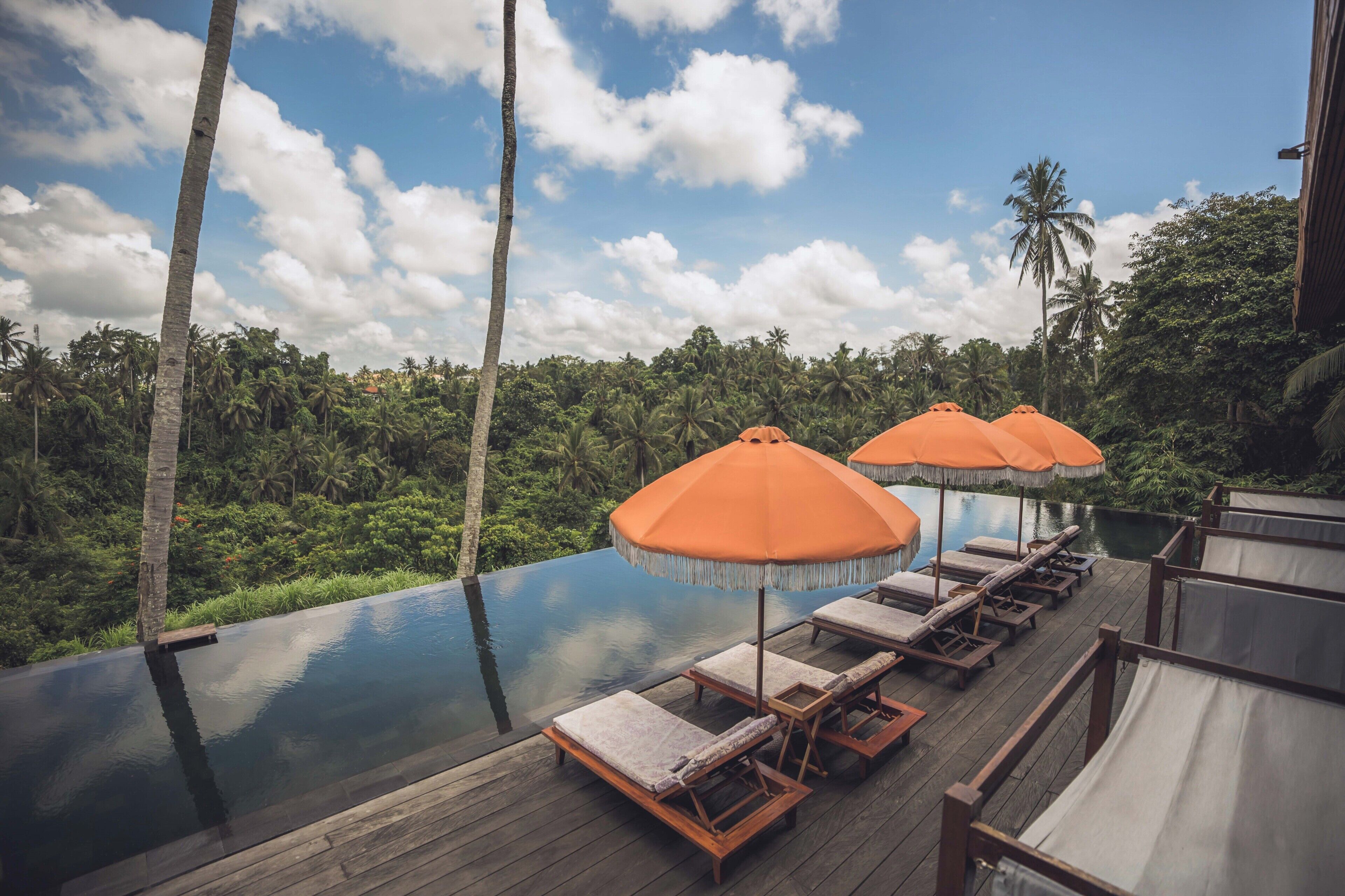 Une piscine à débordement bordée de chaises longues et agrémentée de parasols orange, le tout entouré d’une végétation luxuriante et de palmiers.