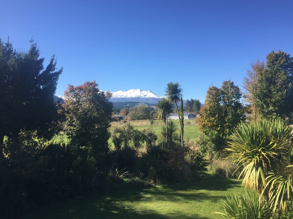A lush garden with a variety of trees and a clear view of a mountain range in the distance. - Unwind and adventure on the Mountain (Ohakune)
