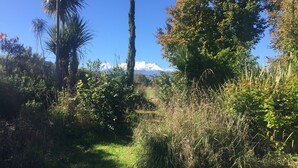 Un paysage naturel avec un sentier bien défini, une végétation luxuriante et une chaîne de montagnes visible au loin.