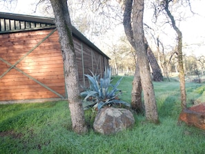Un bâtiment en bois surmonté d’un toit en métal, entouré d’arbres et d’herbe.