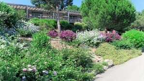 A garden with various plants and flowers, a pathway, and a building with a balcony in the background. - Lovely apartment in villa for 6 people with WIFI, A/C, pool, TV and terrace (Porto-vecchio)